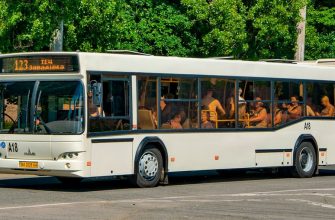 Автобус 123 Кропивницький