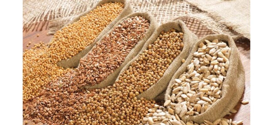 насіння олійних рослин