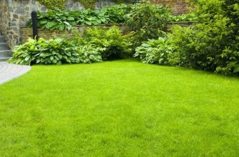 добрива для газонної трави