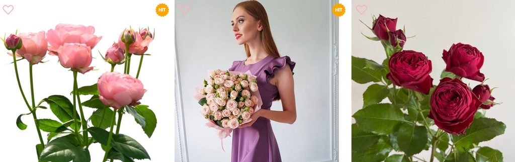 Кущові троянди для побачення, дня народження та подяки